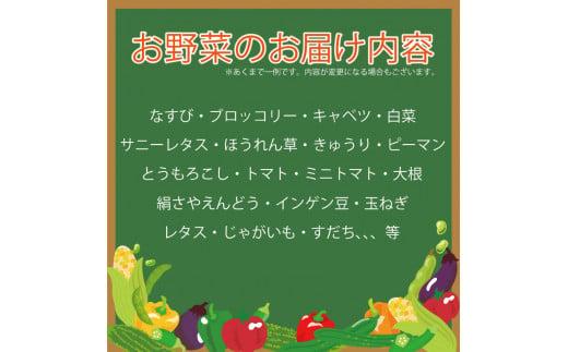 野菜 お楽しみ 5~7品目 詰め合わせ 阿波市 徳島県