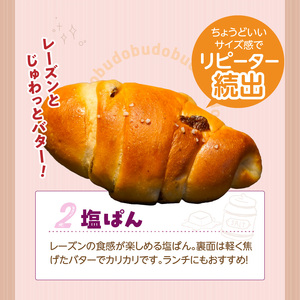 ぶどうぱんマシマシと塩ぱん　堪能セット _ ぶどうぱん 専門店 ぶどぱん 堪能 セット ぶどうぱん 1個 370g前後 塩ぱん × 2個 1個あたり70g前後 レーズン マシマシ しっとり もっちり 
