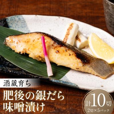 ふるさと納税 八代市 酒蔵育ち 肥後の銀だら 味噌漬け 2切入×5パック 合計10切_257-6074