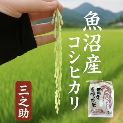 ふるさと納税 魚沼市 【令和8年産 新米 先行受付】三之助　特別栽培米 魚沼産コシヒカリ (精米) 2kg お米