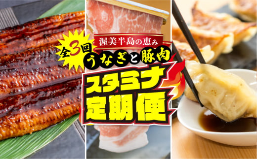 渥美半島の恵み スタミナセット定期便  全3回 (うなぎ / 豚肉 / 餃子)