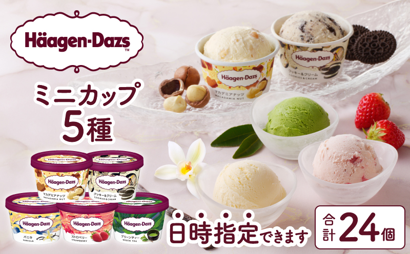 【着日指定できます!!】ハーゲンダッツ『定番ミニカップ5種セット(合計24個)』アイスクリーム アイス スイーツ デザート_H0016-133