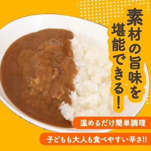 大阪松原　マッキーカレー