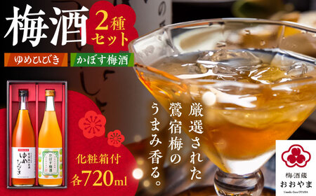 梅酒蔵おおやま 梅酒セット(梅酒・かぼす梅酒) 各720ml /梅酒 梅酒 梅酒 梅酒 梅酒 梅酒 / 日田市 / 株式会社おおやま夢工房[ARCW013]