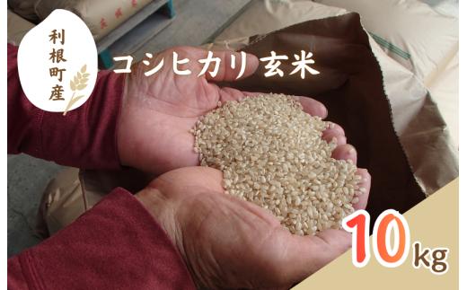 利根町産　コシヒカリ　玄米　10kg ／ 米 こめ コメ お米 おこめ コシヒカリ こしひかり 令和7年産 新米 玄米 ごはん ご飯 10kg 健康志向 茨城県 利根町 産地直送 送料無料