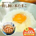 【ふるさと納税】 放し飼い 米たまご 【選べる個数 15個・35個・55個】【＋5個の割れ保証付き】 遺伝子組み換えのない飼料で育てました。 赤卵 卵 おいしい 卵かけご飯 安心・安全 生鮮食品 贈り物 ココテラス 送料無料