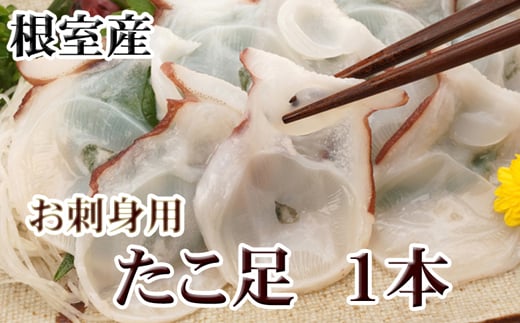 G-30008【12/21まで年内配送】 【北海道根室産】たこ足500g前後～800g前後×1本