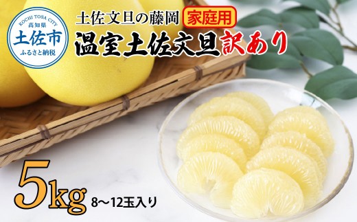 【先行予約】訳あり 温室土佐文旦 家庭用 5kg (8～12玉）〈2026年12月上旬から発送〉/文旦 ぶんたん ブンタン 土佐文旦 ハウス栽培 甘い 柑橘 フルーツ 果物 ご当地 産地直送 お取り寄せ【土佐文旦の藤岡】 [BQBJ005]