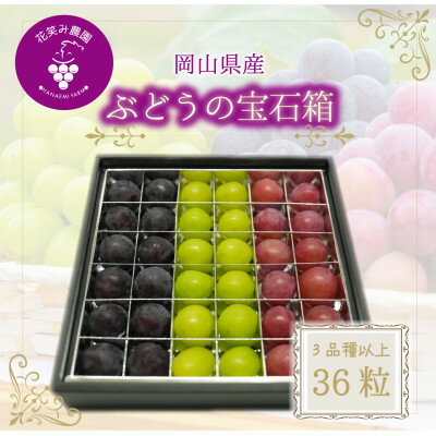 【ふるさと納税】【2026年先行予約】岡山　花笑み農園『ブドウの宝石箱』3種以上(36粒入り)　3M-宝36【配送不可地域：離島】【1696018】