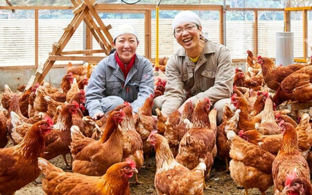 とりとんファームの平飼いたまご50個（ばら売り） / 田辺市 卵 たまご 鶏卵 平飼い 卵かけごはん【trt008-2-j】