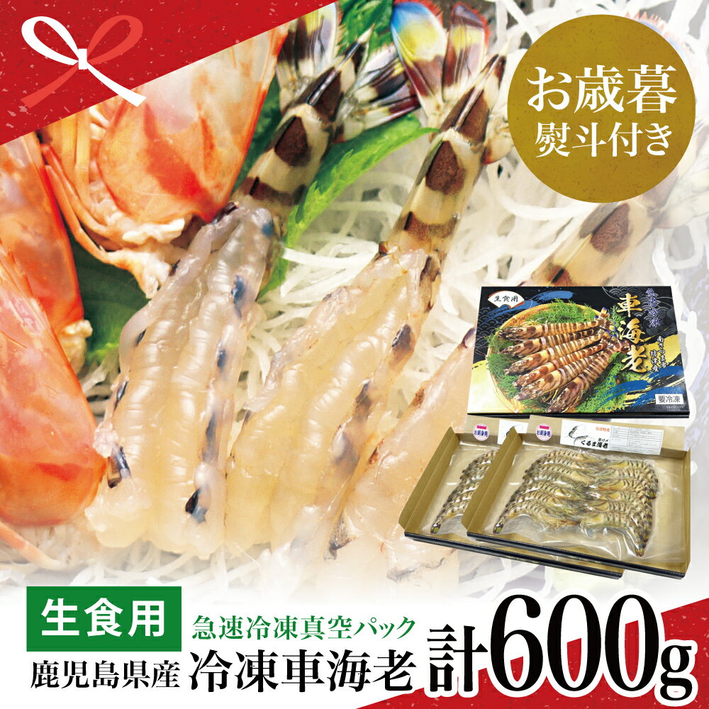 【ふるさと納税】【お歳暮ギフト】鹿児島県産 活〆 冷凍車海老 600g（生食用） えび クルマエビ 車えび 海鮮 海産物 刺身 寿司 天ぷら 塩焼き エビフライ 急速冷凍 冷凍 鹿児島 坊津 南さつま市 贈り物 冬ギフト 贈答用 送料無料 のし対応 お歳暮熨斗付き