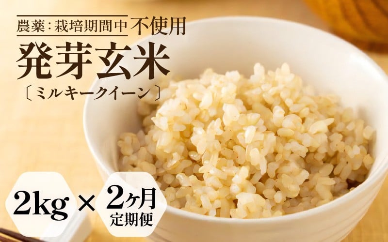 
                  【期間限定】【2ヶ月連続お届け】【令和7年産】発芽玄米 特別栽培米 ミルキークイーン 2kg × 2回（計4kg）甘みがありモチモチやわらか 農薬・化学肥料不使用 特別栽培米 【無洗米 米 玄米 ギャバ GABA 特別栽培 食物繊維 栄養 真空パック ごはん ご飯 おいしい ふるさと納税米】 [C-2935]
                