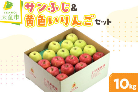 サンふじ ＆ 黄色い りんごセット (シナノゴールドまたは王林) 10kg フルーツ 果物 山形 08-03-106