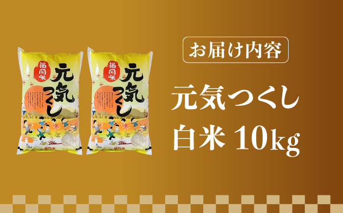 【令和5年産】福岡県産ブランド米「元気つくし」白米 10kg (5kg×2袋)《築上町》【株式会社ゼロプラス】 [ABDD003] お米 白ご飯 夢つくし ブランド米 おにぎり