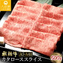 【ふるさと納税】 飛騨牛 すき焼き しゃぶしゃぶ カタロース スライス 500g 国産 冷蔵 A5 A4 霜降り 黒毛和牛 牛肉 お取り寄せ ギフト 贈り物 日付指定 時間指定 送料無料 y14-58