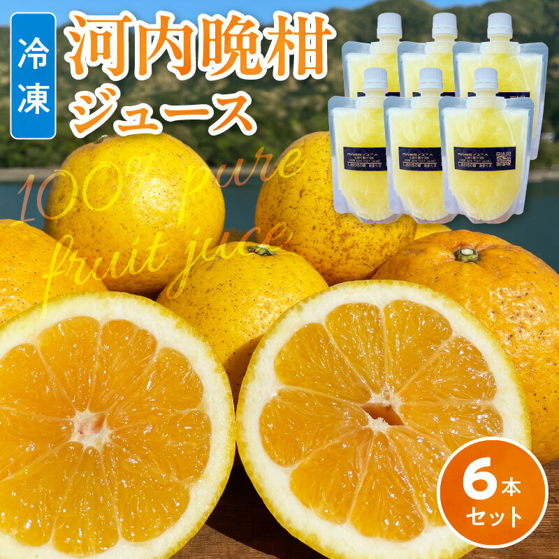 【ふるさと納税】冷凍 河内晩柑 ジュース 果汁 100% 150ml 6本セット 柑橘 爽やか 味わい 自然な甘さ 豊かな香り ドリンク 飲料 ストレート フルーツジュース 冷凍ジュース 搾りたて 急速冷凍 健康 鮮度 美味しさ 長期保存 国産 お取り寄せ 熊本県 天草市 送料無料