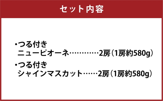 つる付き！ ニューピオーネ ＆ 晴王 シャインマスカット Dセット 露地栽培 ブドウ ぶどう 葡萄 果物 くだもの フルーツ 果実 マスカット 【 2026年9月上旬～10月下旬発送予定 】
