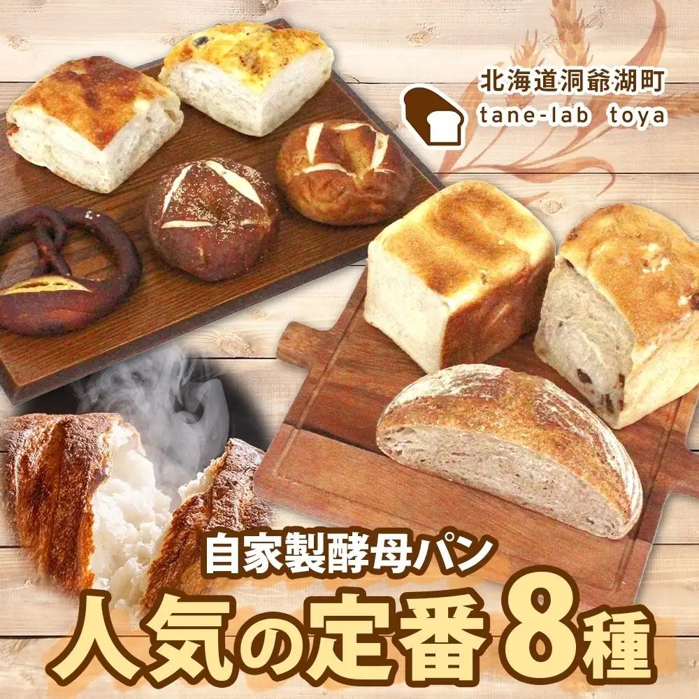 自家製酵母パン 人気の定番セット Mサイズ パン 道産 小麦 自家製 酵母