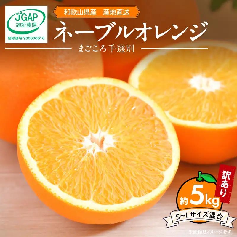 【2027年先行予約】和歌山県産 ネーブルオレンジ 【訳あり 家庭用】5kg サイズ混合 【まごころ手選別】_ZE6444
