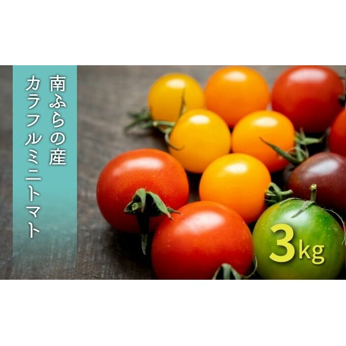 【ふるさと納税】カラフル ミニトマト セット 3kg ≪北海道南富良野産≫ 北海道 南富良野町 2025年発送 先行予約 トマト 詰合せ ミックス ミックストマト 野菜 　お届け：2026年8月15日～9月15日まで
