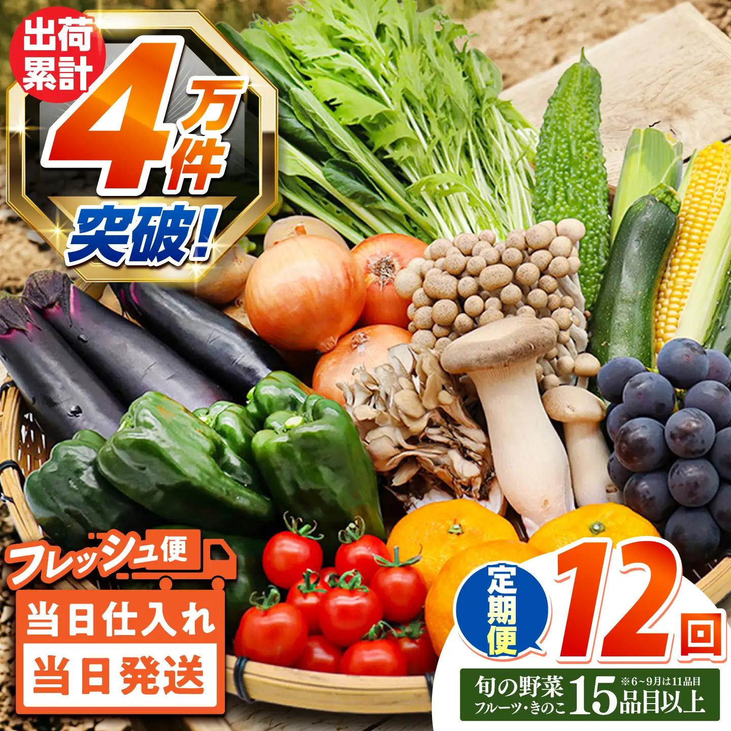 【12回】野菜定期便 15品目 野菜セット [SCZ019]