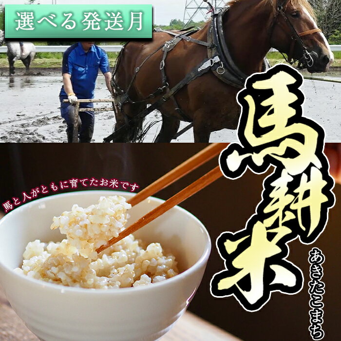 【ふるさと納税】 令和7年産 おすすめ 玄米 馬耕米 あきたこまち 10kg 選べる発送月 / 1月発送 / 2月発送 / 国産 東北 コメ ごはん ご飯 美味しい 馬 農耕馬 ウマ 堆肥 たい肥 こだわり ご当地 産地直送 農家直送 単一原料米 岩手県 滝沢市 送料無料 スタディア