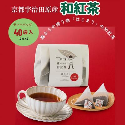ふるさと納税 宇治田原町 森からの和紅茶　はじまり(20袋入2個組)