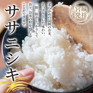 【令和8年産 新米】＜先行予約受付中！R8年9月下旬から順次発送予定＞お米農家直送！ササニシキ 5kg お米 おこめ 米 コメ 白米 ご飯 ごはん おにぎり 宮城米 ささにしき 令和8年産 お弁当 【