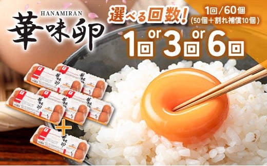 
            『定期便』 たまご 華味卵 60個（50個＋割れ補償10個） ちよだファームの華味卵 はなみらん_FR109_HNM
          