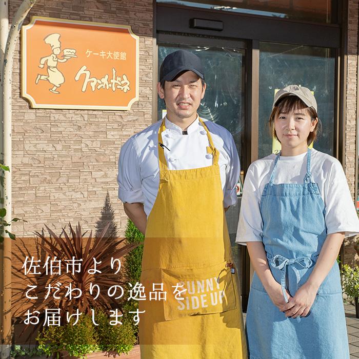 濃厚ショコラ・チーズケーキ (合計10個・2種×5個) チーズケーキ チーズ スイーツ 冷凍 お菓子 おやつ 焼き菓子 お取り寄せ 大分県 佐伯市【AJ75】【(有)ケーキ大使館クアンカ・ド−ネ】