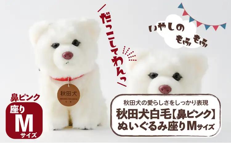 65P7305 秋田犬白毛(鼻ピンク)ぬいぐるみ　座りＭサイズ【秋田犬保存会】