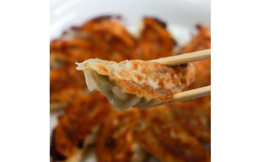 【12ヶ月定期便】春日井の中華料理店四川監修タレなし生餃子「猪天餃子」 12ヶ月コース