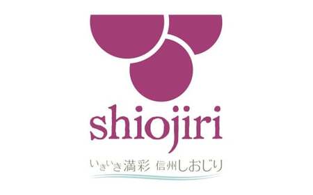おまかせ野菜セット 2?3人分 約 5kg | 野菜 やさい 旬 の 野菜 長野県 塩尻市