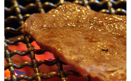 AA080長崎和牛焼肉用 450g (A4等級以上)[長崎和牛 和牛 国産 牛肉 焼肉 日本一 長崎 長崎県 島原市]