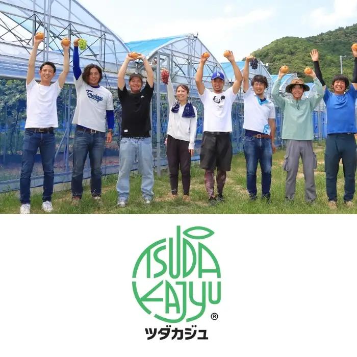 【先行予約】【数量限定】淡海なし　豊水　3kg箱入り（サイズ：2L～7L　5～10個入り）【K129W】スイーツ 果物