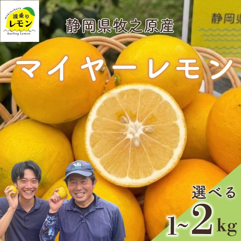 
            牧之原産 波乗りレモン マイヤーレモン 選べる 内容量 1~2kg 国産 Lemon 檸檬 柑橘類 柑橘 フルーツ 果物 酸っぱい 果肉 酸味  防腐剤不使用 自宅用 贈答品 レモンスカッシュ レモンパウンドケーキ レモンサワー くだもの 家庭用 静岡県産 農家直送 産地直送 産直 ビタミン ビタミンC クエン酸 グリーンレモン イエローレモン おすすめ 美味しい まいやーれもん 静岡県 牧之原市
          