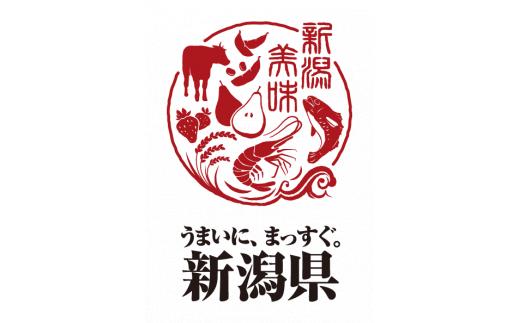 令和6年産 新潟県産 越後菅谷 新之助 5㎏【 新潟県産 新発田産 米 5kg 越後菅谷 新之助 数量限定 】D18-02