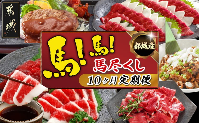 
都城産馬!馬!馬尽くし定期便(10ヵ月)_T80(10)-0101_(都城市) 定期便 馬刺しブロック ロース 赤身 タテガミ フタエゴ 馬ハンバーグ 馬生ハム 馬すじ煮込み 10ヵ月定期便

