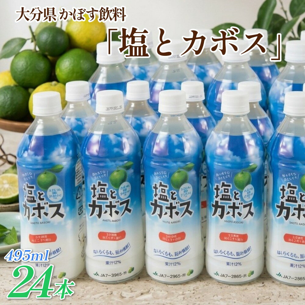 【ふるさと納税】大分県 かぼす飲料 ｢塩とカボス｣ 495ml 24本
