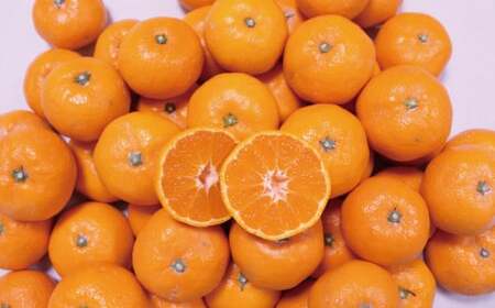 こだわりの和歌山県産 有田みかん 5kg（S～Lサイズ） ひとつひとつ手選別で厳選！生産者から直送 【2025年11月中旬～翌年1月中旬頃に順次発送分】 みかん ミカン 蜜柑 有田みかん 柑橘 果物 