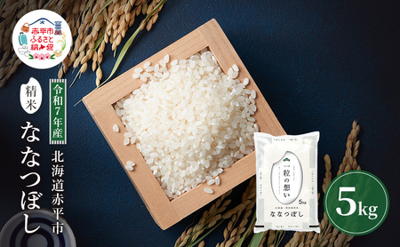 ななつぼし白米令和7年産 北海道産 ななつぼし【5kg】