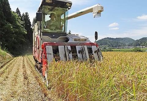 48-N051新潟県長岡産特別栽培米コシヒカリ5kg