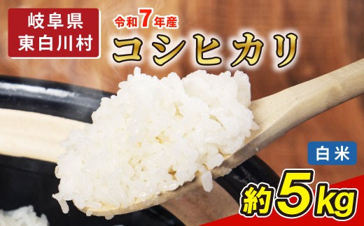 
                  【令和7年産 】コシヒカリ 米 5kg 白米 選べる 内容量 精米 東白川村産 岐阜県 お米 こめ 精米 ご飯 ごはん ブランド米 銘柄米 おにぎり
                
