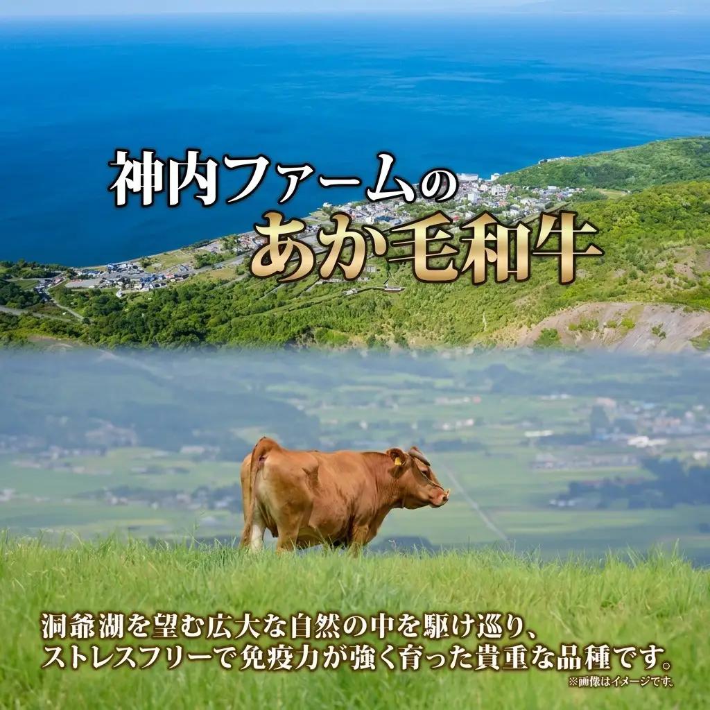 あか牛 和牛 焼肉 4部位食べ比べ 低温熟成 あか牛【計650g】【冷凍】