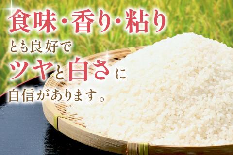 【令和7年産】【定期便】石見産きぬむすめ　１年分（５ｋｇ×１２回コース） 定期便 12回 白米 玄米 選べる 5キロ 特産品 ごはん 新生活 応援 贈答 贈り物 ギフト お中元 お歳暮 【058_18