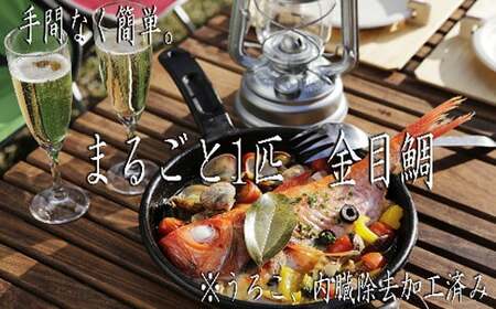 漁師の食卓定期便【１２回お届け】 [ry012]