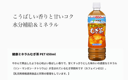 【2か月定期便】 伊藤園 健康ミネラルむぎ茶 1ケース （650ml×24本） 麦茶 伊藤園 ペットボトル お茶 650ml 茶 お茶 おすすめ 常温 常温保存 TMP010