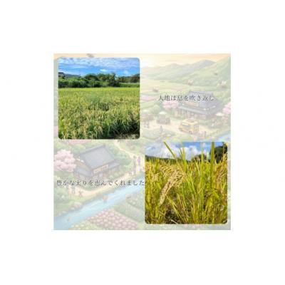 ふるさと納税 山口市 ミツバチと地球の未来を守るお米【88(HACHIMAI)】玄米10kg B095 |  | 03