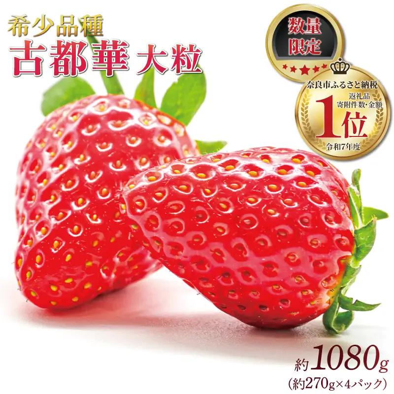 いちご 古都華 約270g×4P 【R9年1月～発送】いちご drm004