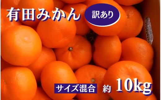 紀州 有田みかん 訳あり キズ 10kg サイズ混合 家庭用【sml004-c-10B】